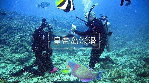 超三国无双4